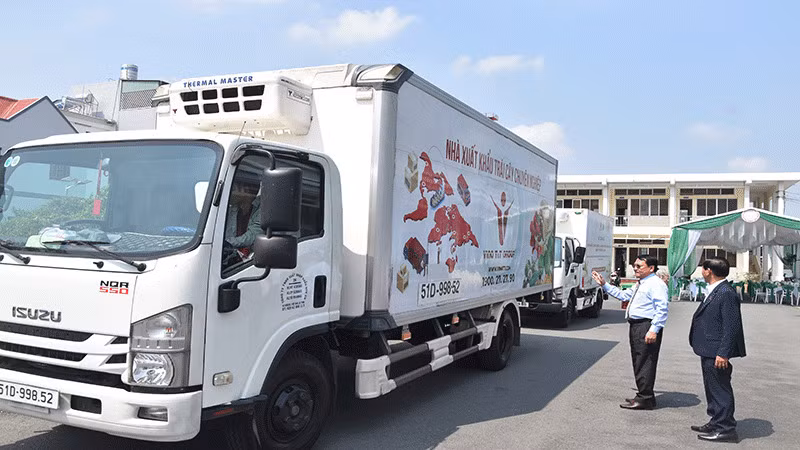 Экспорт первой партии манго с зеленой кожурой из провинции Тиенжанг на рынок США.