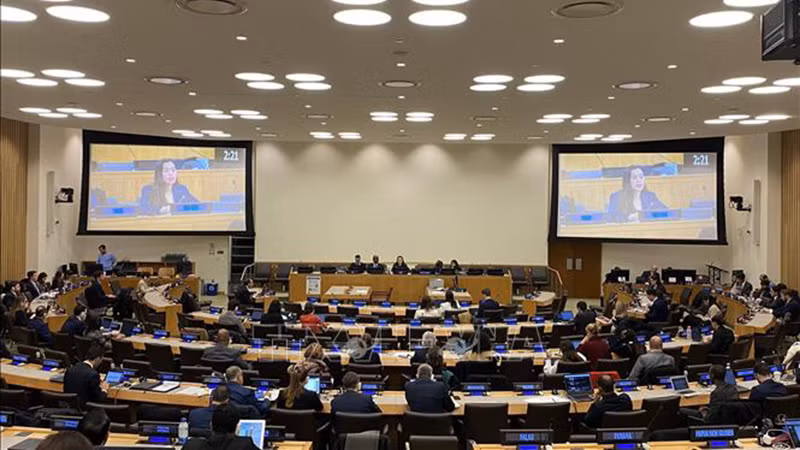 Общий вид заседания. Фото: ВИА