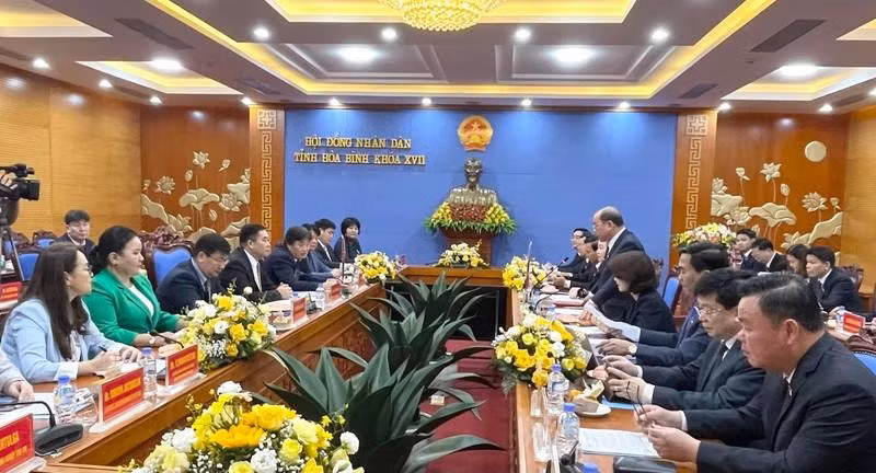 Общий вид рабочей встречи. 