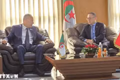 Вьетнам продвигает многопрофильное сотрудничество с местностью Алжира