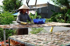 В 2025 году среднедушевой доход вырос на 9,3%. Фото: ВИА