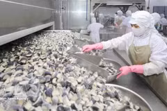 Работники перерабатывают сельскохозяйственную продукцию на предприятии Coastal Fisheries Development Company (Cofidec) в городе Хошимине. Фото: ВИА