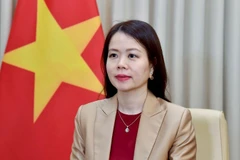 Заместитель министра иностранных дел Нгуен Минь Ханг. Фото: МИД Вьетнама