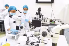 Лаборатория в Государственном университете г. Хошимина.