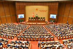 Общий вид церемония открытия сессии.