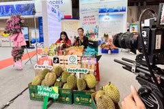 Электронная коммерция Вьетнама вступает в новый этап развития, характеризующийся усилением конкуренции.