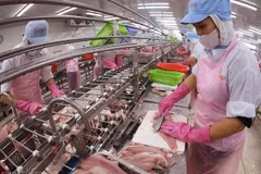 Переработка экспортной продукции из филе пангасиуса на заводе Акционерной компании Го Данг Тьензянг. Фото: ВИА