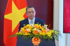 Посол Фам Тхань Бинь выступает на встрече с прессой 2026 года.