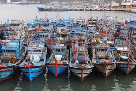 Дананг усиливает соблюдение правил ННН-промысла