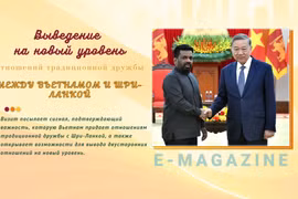 Выведение на новый уровень отношений традиционной дружбы между Вьетнамом и Шри-Ланкой