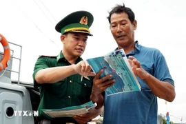 Провинция Куангнгай решительно реализует меры по борьбе с ННН-промыслом