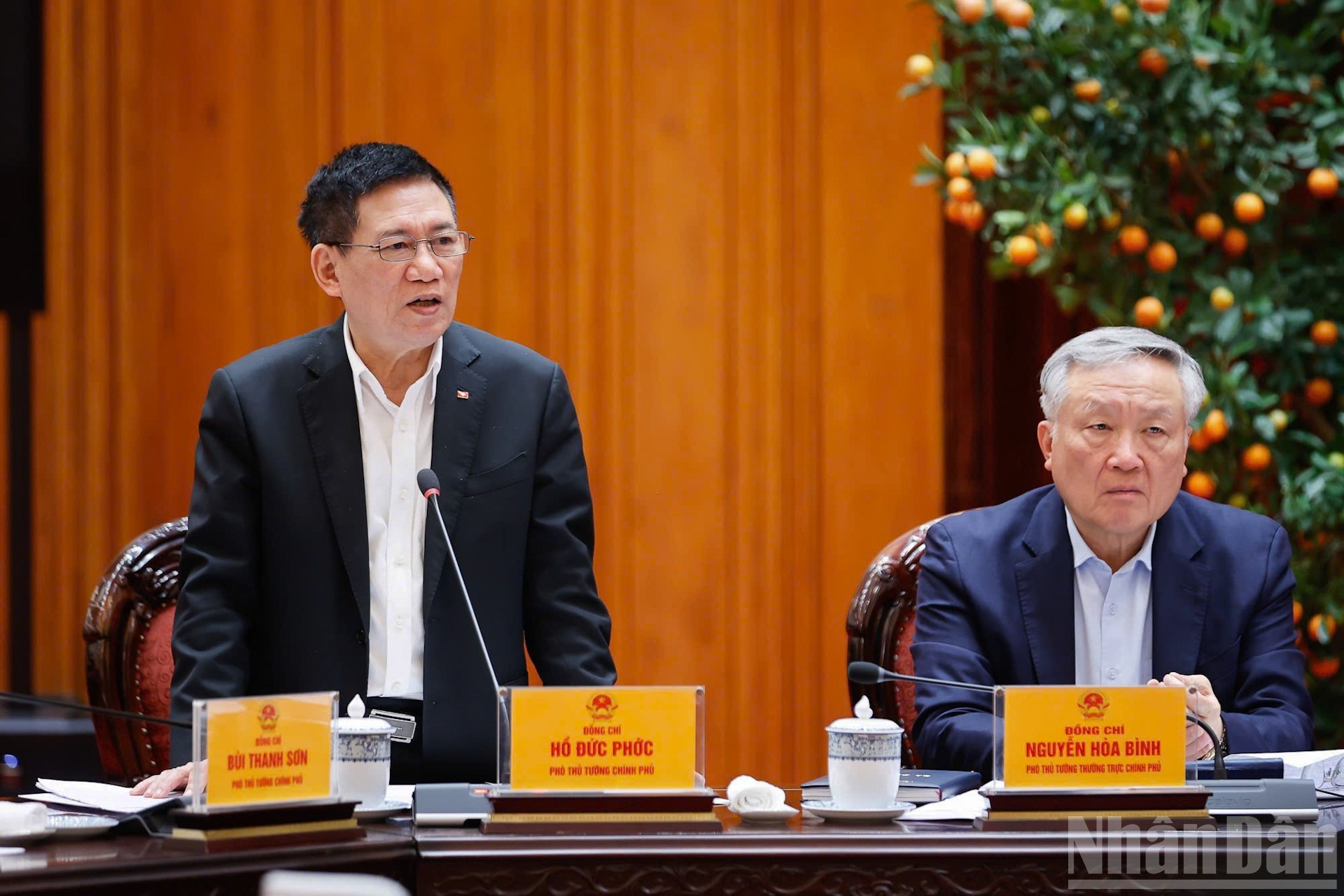 Вице-премьер Хо Дык Фок выступает на заседании.