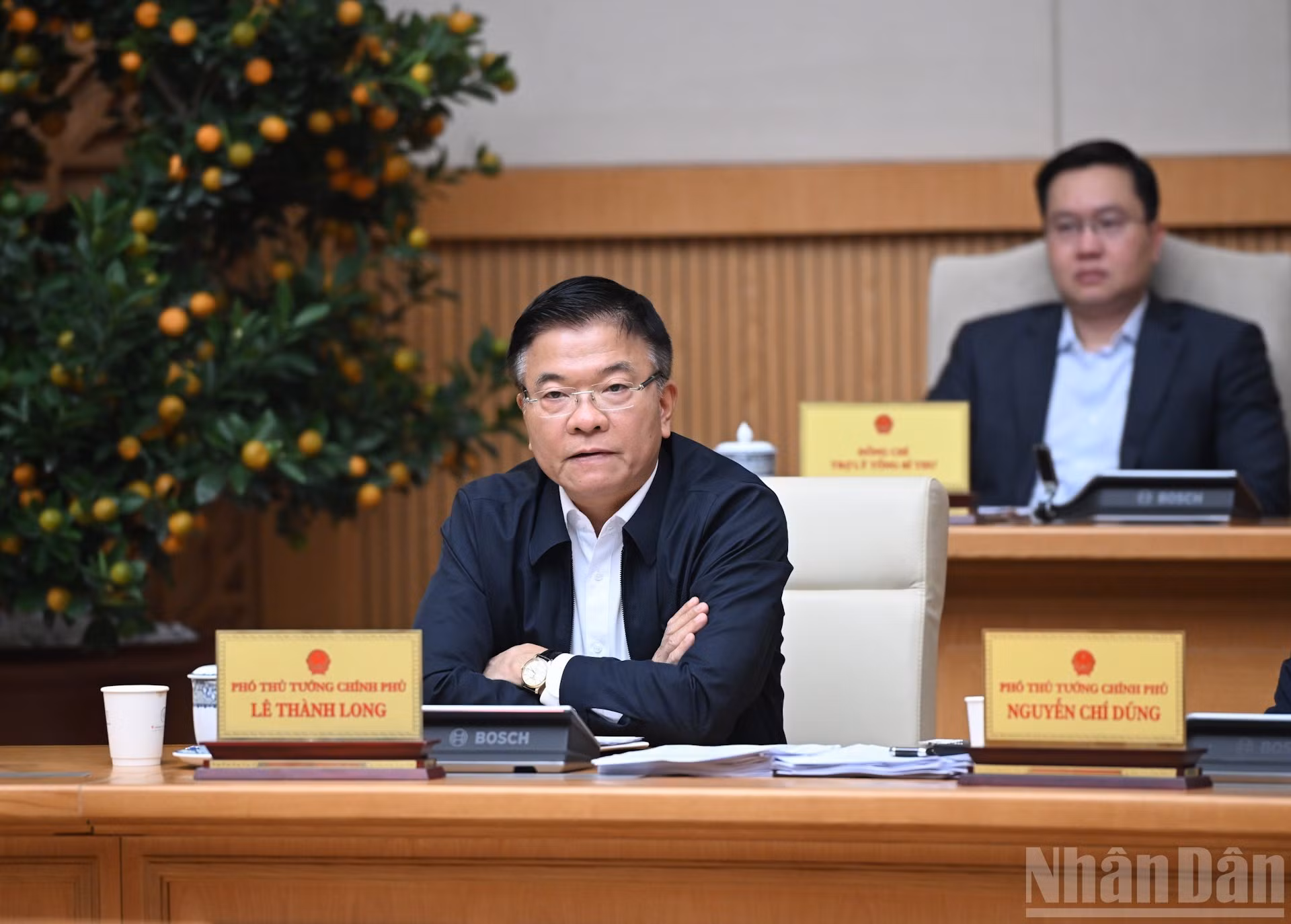 Вице-премьер Ле Тхань Лонг выступает на заседании.