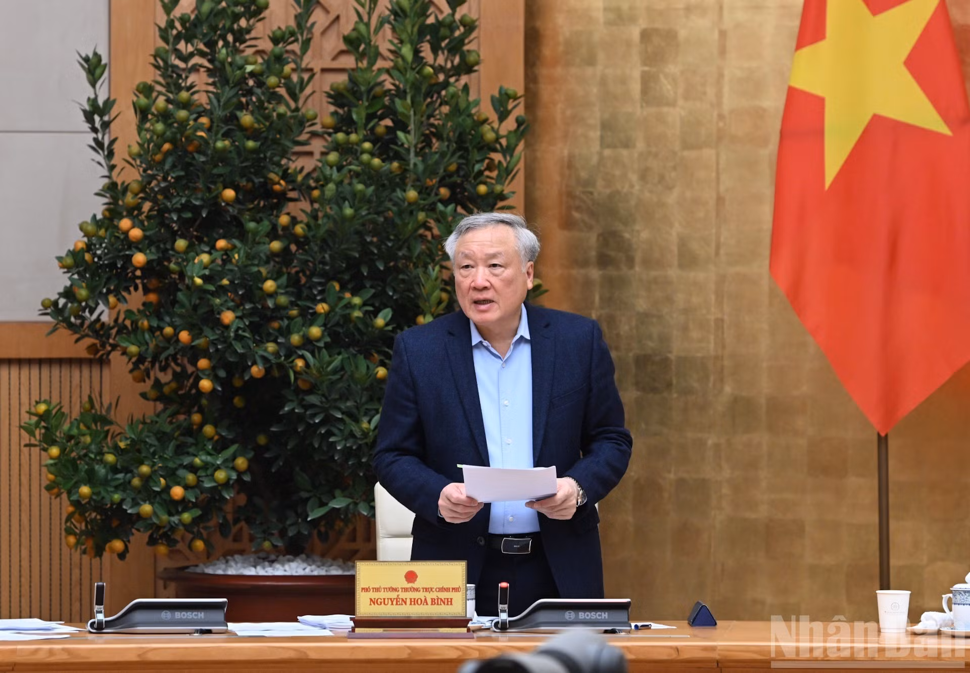 Постоянный вице-премьер Нгуен Хоа Бинь выступает на заседании.