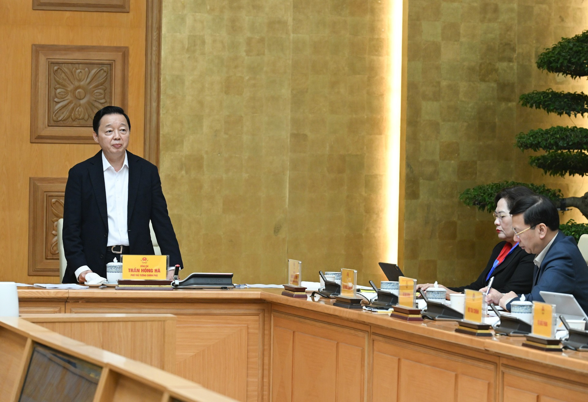 Вице-премьер Чан Хонг Ха выступает на мероприятии.