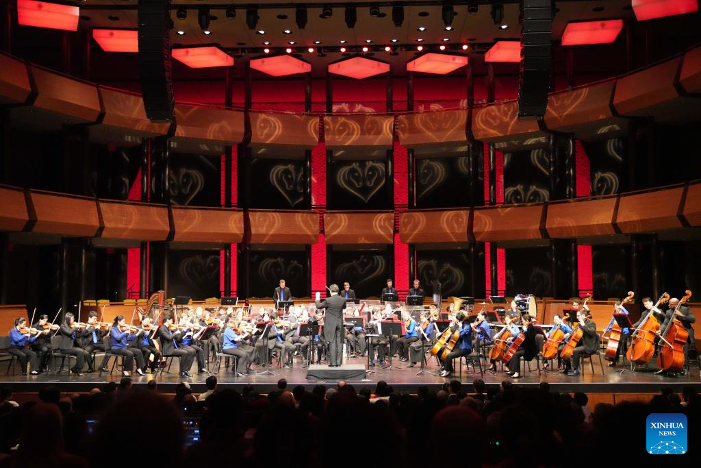 Концерт в честь Нового года по лунному календарю в Нью-Йорке (США), 15 февраля 2026 года.