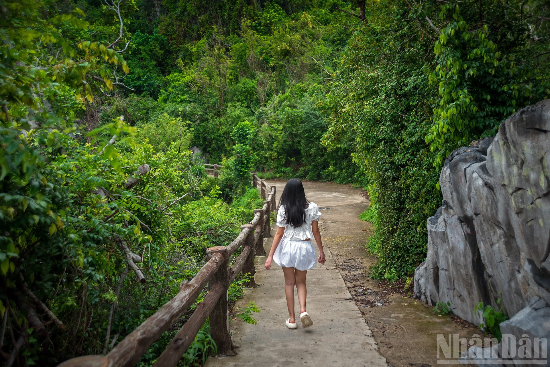Прохладные, спокойные прибрежные зеленые леса.