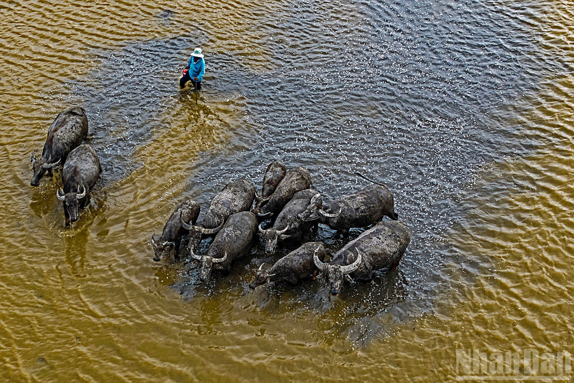 Аллювиальные наносы и жизненная сила.