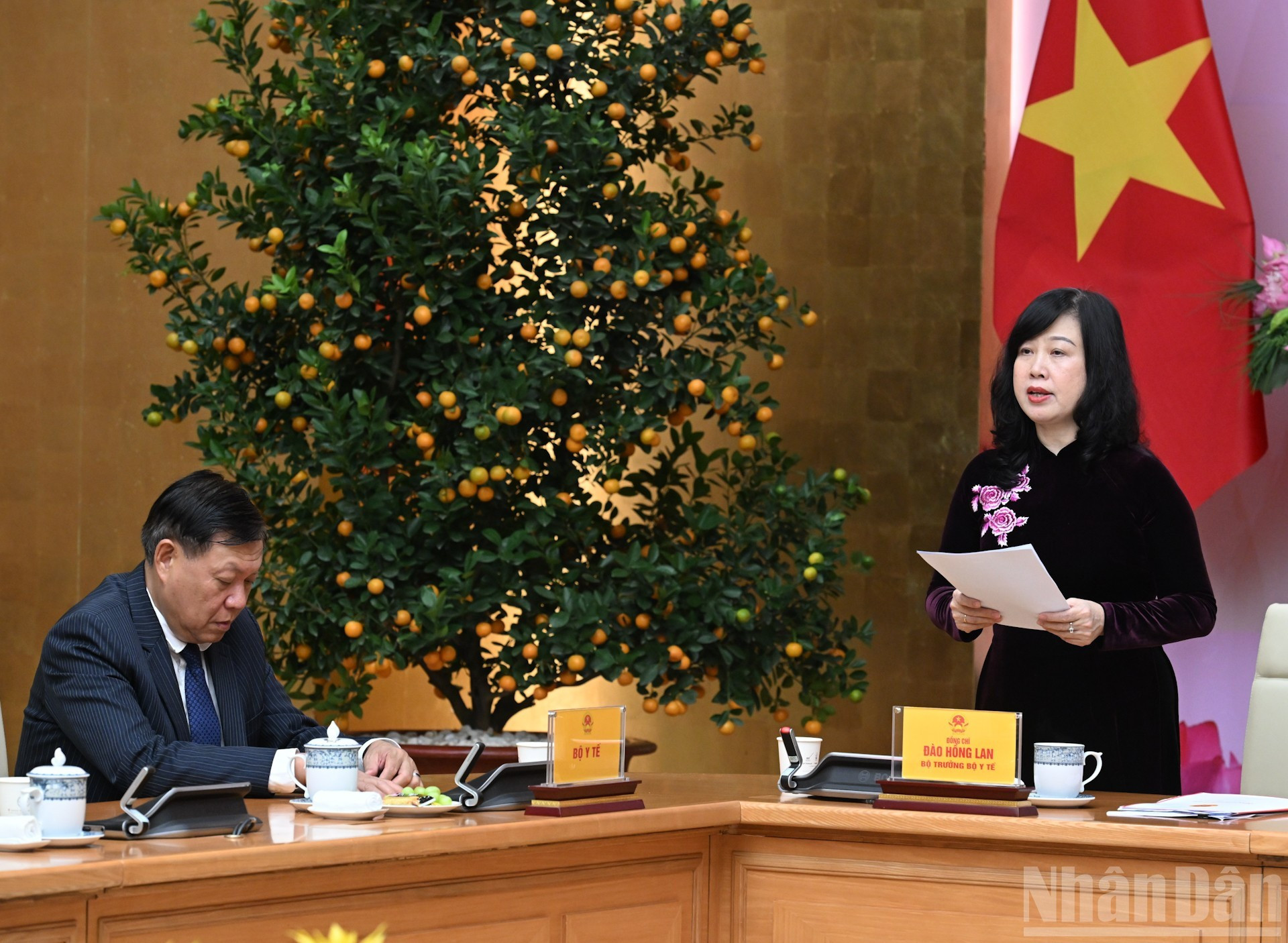 Министр здравоохранения Дао Хонг Лан выступает на встрече.