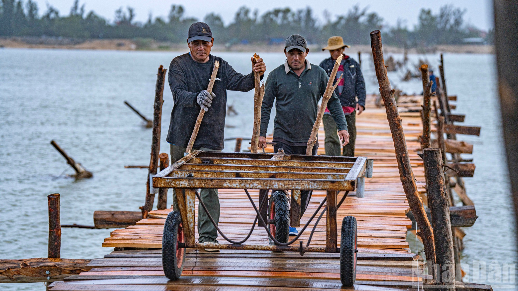 Стоимость одного восстановления, по оценкам, превышает 1 миллиард вьетнамских донгов.