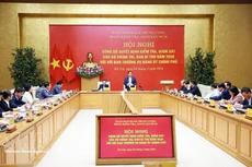 Конференция по объявлению Решения о проверке и надзоре Политбюро и Секретариата в 2026 году в отношении Постоянного бюро Парткома Правительства. (Фото: ВИА)