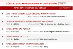 Публикация рейтинга VNR500 за 2025 год. Фото с экрана
