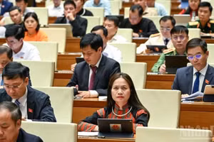 Депутаты НС работают в зале. Фото: Зюи Линь