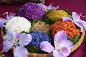 Уникальное событие «27 вкусов кулинарии Дьенбьена». Фото: ВИА