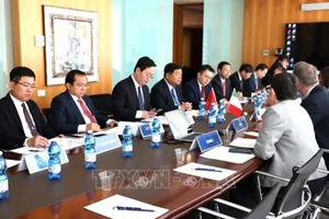 Общий вид рабочей встречи между Вице-премьером Нгуен Тьи Зунгом и руководителем Ассоциации предпринимателей Ассоломбарды. Фото: ВИА 