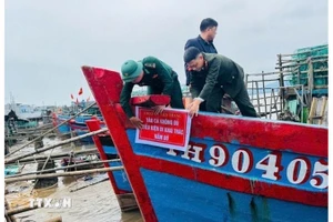 Рыболовным судам, не отвечающим установленным требованиям, запрещён выход в море. Фото: ВИА