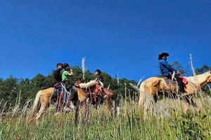 Туристы участвуют в конной прогулке по Лунгку (провинция Туенкуанг). Фото: ВИА