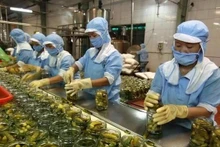 Рабочие обрабатывают сельскохозяйственную продукцию для экспорта. Фото: ВИA