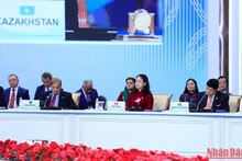Вице-президент Во Тхи Ань Суан принимает участие в саммите.