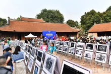 Работы, выигравшие золотые медали на Международном конкурсе художественной фотографии 2023 г.