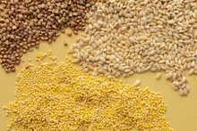 Agri VMA сосредоточится на производстве и торговле кормами для животных, разведении свиней и многих других видов домашнего скота и птицы. Источник: Cuba Business Report
