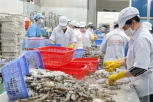 Экспорт продукции сельского, лесного и водного хозяйства принес 20,26 млрд долларов США