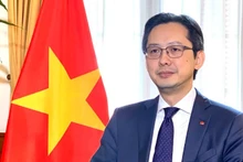 Заместитель министра иностранных дел Вьетнама До Хунг Вьет. Фото: Chinhphu.vn