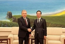 Президент Вьетнама Во Ван Тхыонг и Президент Узбекистана Шавкат Мирзиёев. Фото: ВИА
