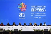 16-я Конференция сторон Конвенции Организации Объединенных Наций о биологическом разнообразии в Кали (Колумбия), 21 октября 2024 года. Фото: Синьхуа/ВИА