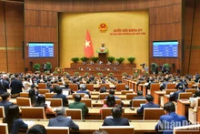 Последний рабочий день 5-й внеочередной сессии НС. Фото: Зюи Линь