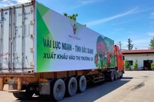 Экспорт сельскохозяйственной, лесной и рыбной продукции превысил годовой показатель за 11 месяцев 2024 г.