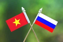 Укрепление вьетнамско-российского сотрудничества в противодействии размыванию налоговой базы