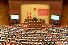 Общий вид конференции. Фото: Данг Кхоа