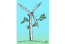 Карикатура Албайрака