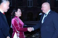 Вице-президент Во Тхи Ань Суан на встрече с Председателем Фолькетинга Дании Сереном Гаде.