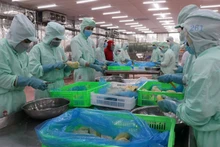 Переработка сельскохозяйственной продукции на экспорт. Фото: ВИА