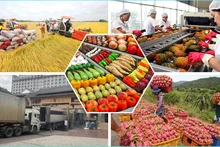 Вьетнаму удалось вывести на рынок ЕС ряд сельскохозяйственных продуктов. Фото: kinhtenongthon.vn