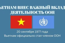 Вьетнам внес важный вклад в деятельность ООН