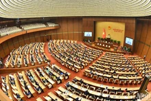 Общий вид заседания 29 ноября. Фото: Данг Кхоа