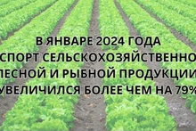Экспорт продукции сельского, лесного и рыбного хозяйства увеличился более чем на 79%